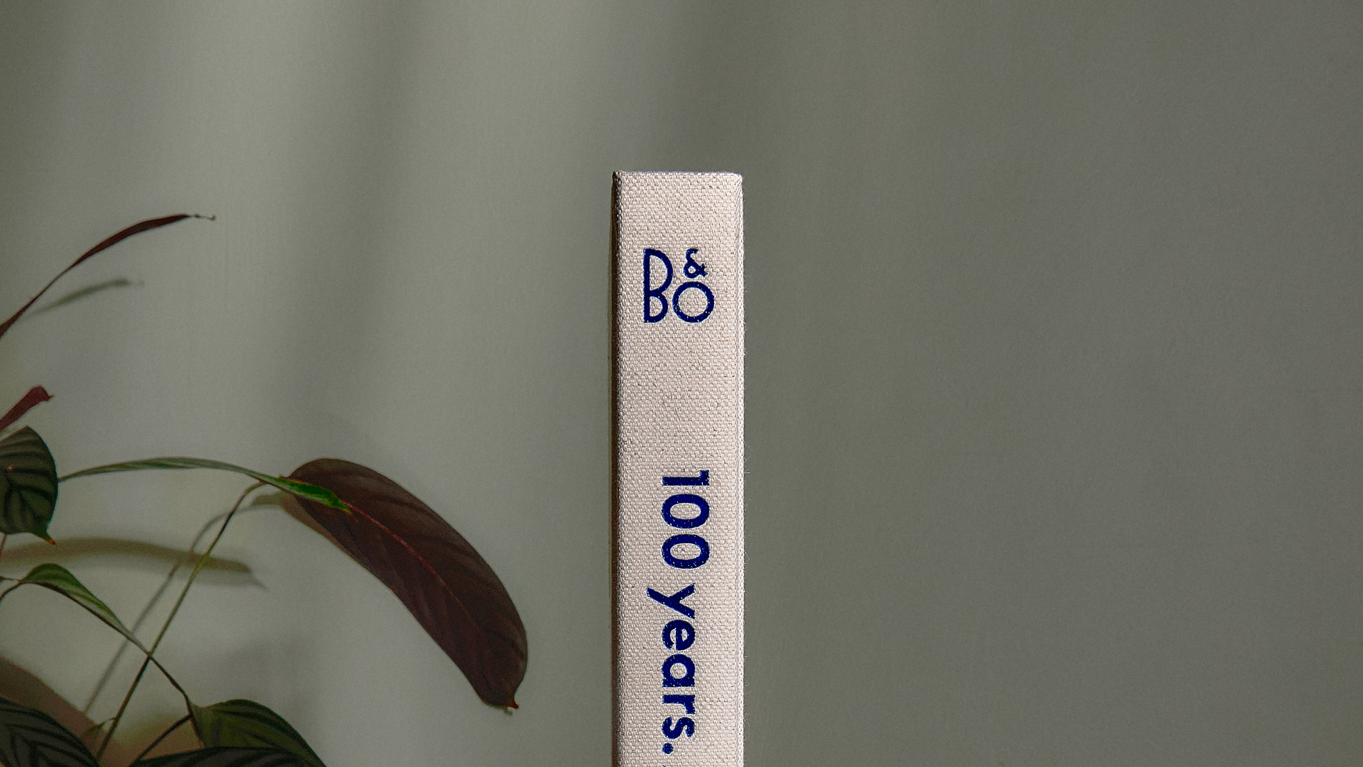 Bang & Olufsen : 100 years and counting